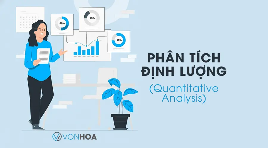 phan tich dinh luong - quantitative analysis