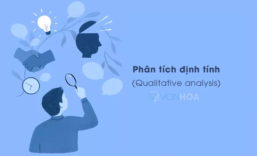 phan tich dinh tinh - qualitative analysis