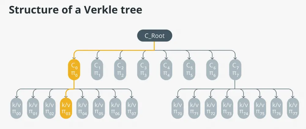 verkle trees