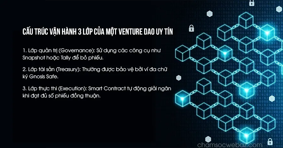 cau truc van hanh 3 lop venture dao