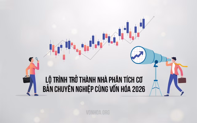 lo trinh tro thanh nha phan tich co ban chuyen nghiep cung vonhoa