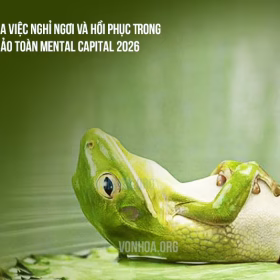 tam quan trong cua viec nghi ngoi va hoi phuc trong trading - bao toan mental capital